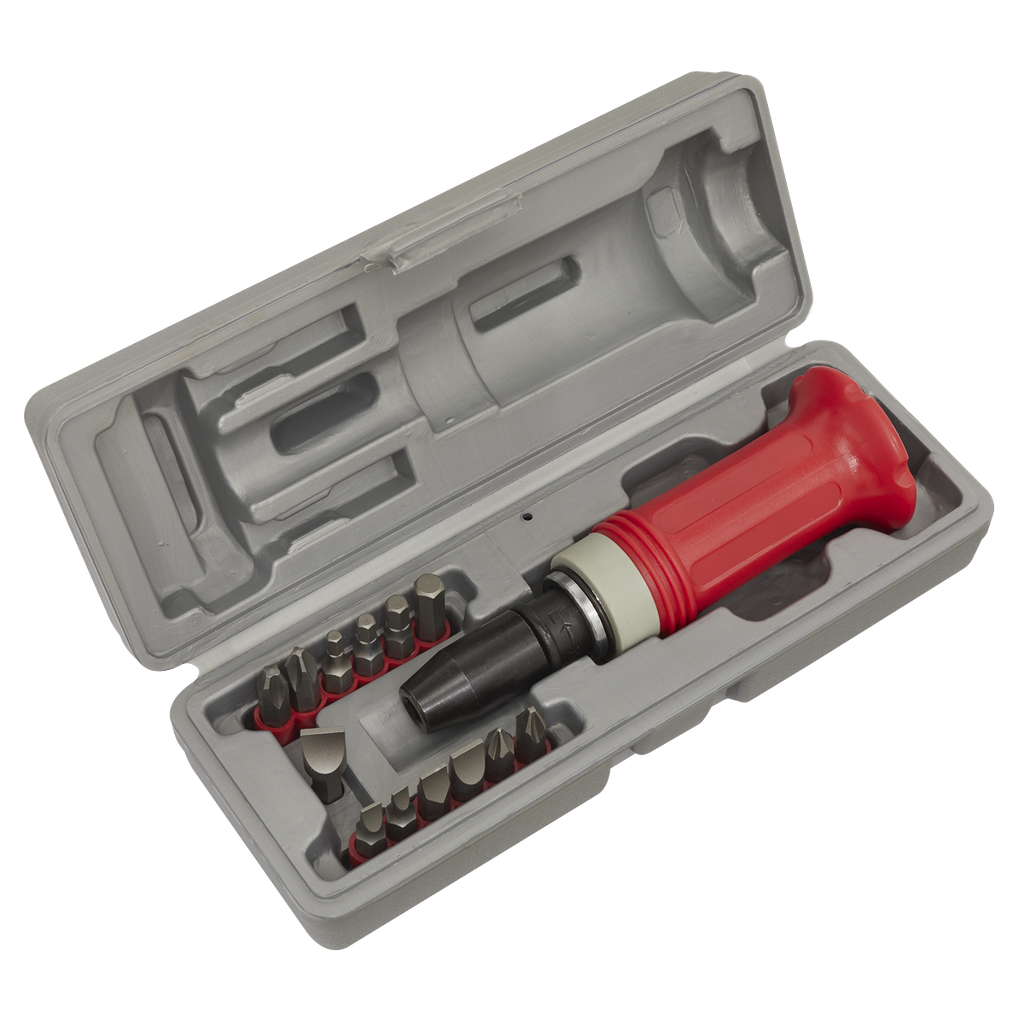 Sealey Premier Impact Driver Set with Protection Grip 15pc