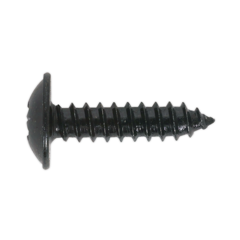 Sealey Self-Tapping Pozi Flanged Head Screw 4.8 x 13mm, Black - 