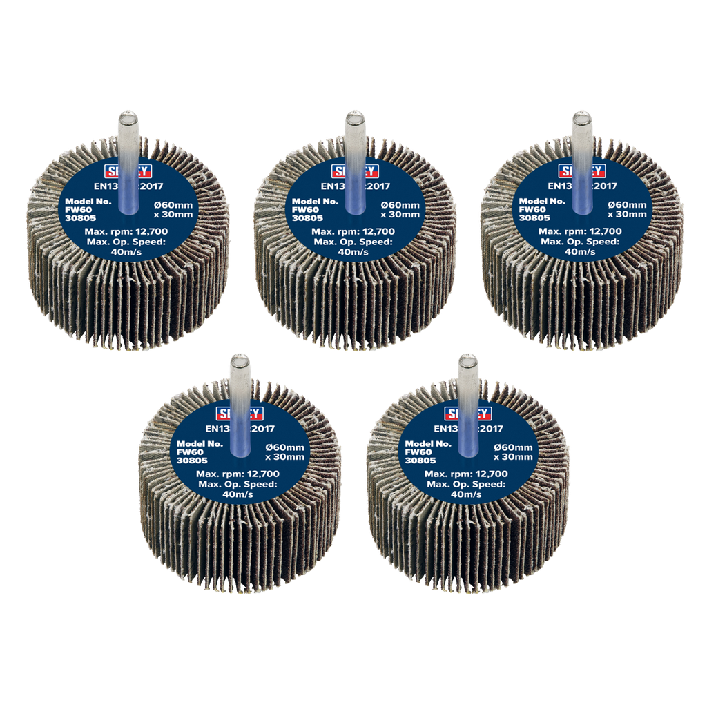 Sealey 60 x 30mm Abrasive Flap Wheel on 6mm Shaft 80Grit - Pack 
