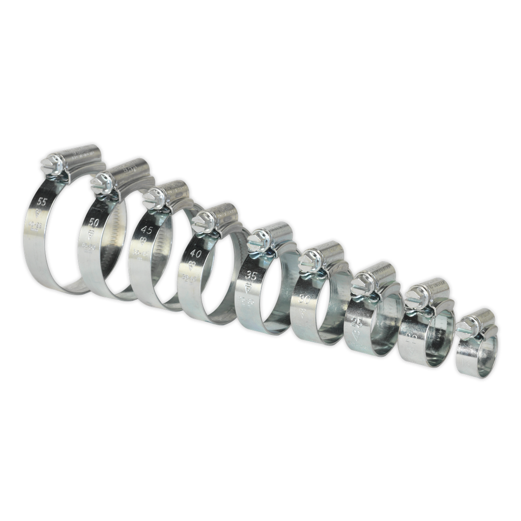 Sealey HI-GRIP® Zinc Plated Hose Clip Assortment 9.5-55mm 85pc