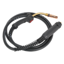 Sealey MIG Torch with 4m Euro Connection MB36