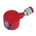 Sealey Short Push Ram 4 Tonne