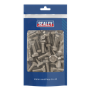 Sealey Stainless Steel Hex Head Set Screw M10 X 25 A2, DIN 933 -