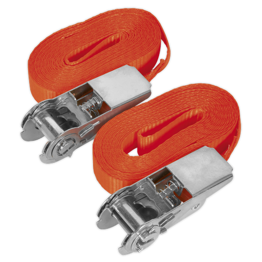 [TD08045E] Sealey Self-Securing Ratchet Straps 25mm x 4.5m 800kg Breaking S
